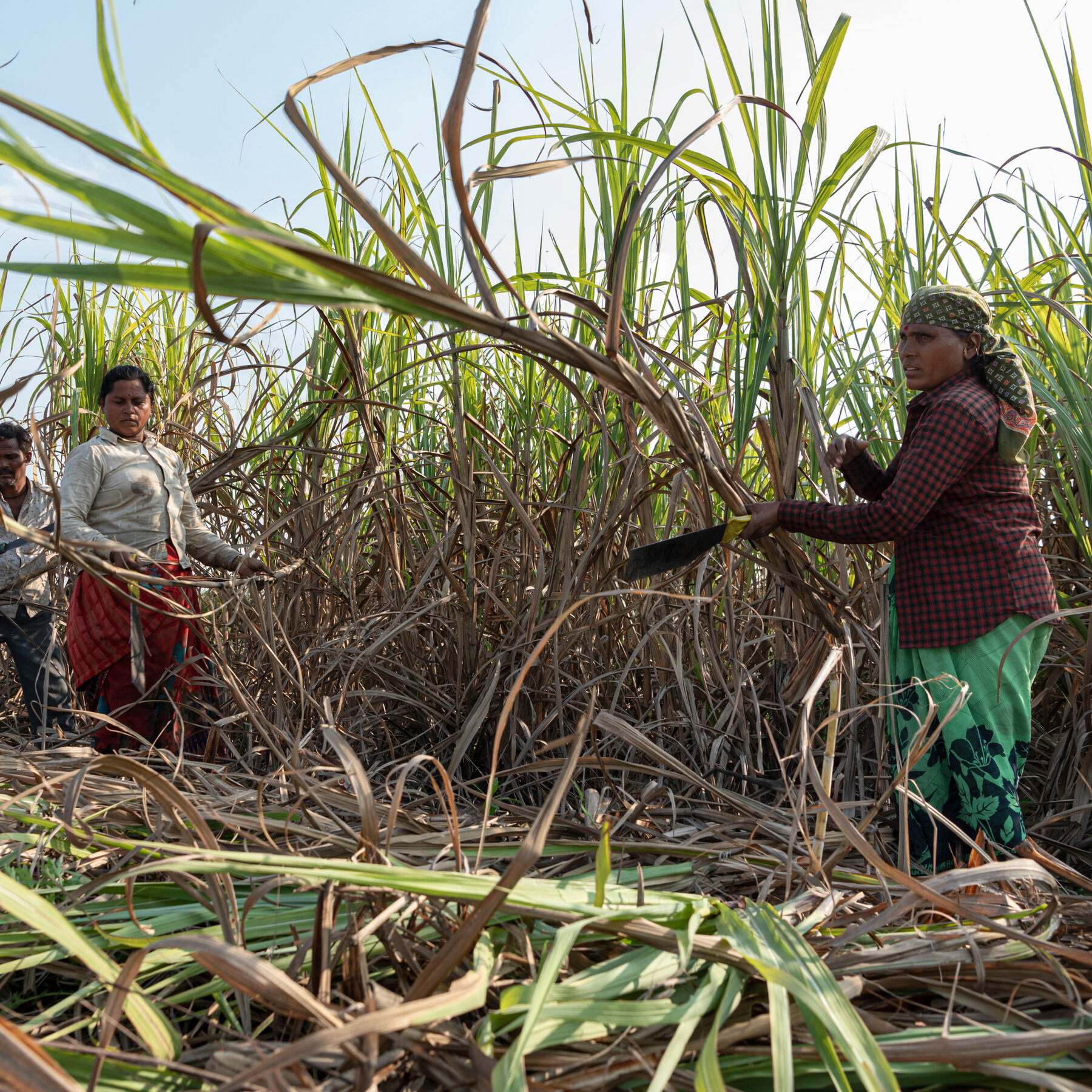 Coke, Pepsi and Other U.S. Companies Face Wall Street Pressure Over Labor Abuses in India